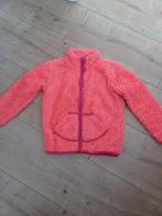 Leuke meisjes teddy jasje maat 98/ 104., Kinderen en Baby's, Ophalen of Verzenden, Zo goed als nieuw, Meisje, Jas