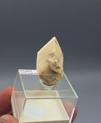 Calciet psm Glauberiet - Camp Verde, Arizona, USA, Ophalen of Verzenden, Mineraal
