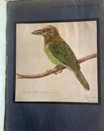 De Tropische Natuur 9 jaargangen ts 1920-1938 Indie, Antiek en Kunst, Ophalen
