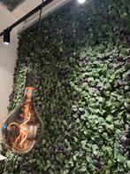 Kunsthaag ikea 26x26 verschillende afmetingen beschikbaar., Ophalen