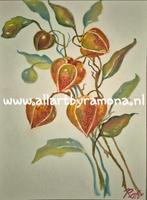 Viertal bloemen aquarellen, in hoge kwaliteit lijst, Verzenden