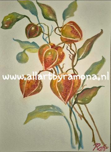 Viertal bloemen aquarellen, in hoge kwaliteit lijst beschikbaar voor biedingen