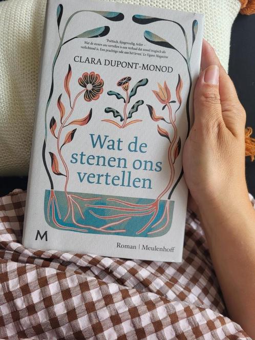 Clara Dupont-Monod - Wat de stenen ons vertellen, Boeken, Literatuur, Zo goed als nieuw, Nederland, Ophalen of Verzenden