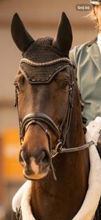 Anky hoofdstel, Dieren en Toebehoren, Ophalen of Verzenden