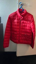 Opus rood gewatteerd kort jack maat 34, Kleding | Dames, Jassen | Winter, Ophalen of Verzenden, Zo goed als nieuw, Maat 34 (XS) of kleiner