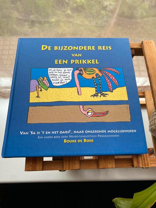 Berna de Boer - De bijzondere reis van een prikkel, Boeken, Psychologie, Zo goed als nieuw, Persoonlijkheidsleer, Ophalen of Verzenden