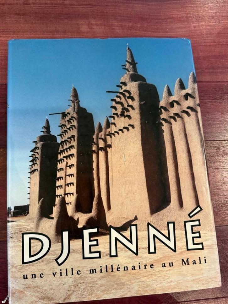 Djenne, une ville millénaire au Mali, Boeken, Kunst en Cultuur | Architectuur, Zo goed als nieuw, Ophalen of Verzenden