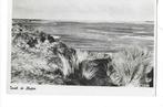 Texel, Verzamelen, Ansichtkaarten | Nederland, Ophalen of Verzenden, 1940 tot 1960, Gelopen, Noord-Holland