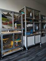 Starterset kooi- of volièrebouw - aluminium, trespa, etc, Ophalen of Verzenden, Nieuw, Aluminium, Volière