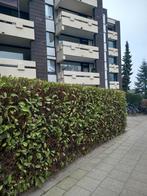 Appartement te koop in Goch, Huizen en Kamers, Huizen te koop