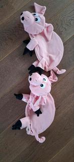 Carnavalsmuts, Ophalen of Verzenden, Gedragen, Maat 46/48 (XL) of groter, Carnaval