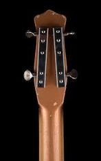 Gezocht: oude Danelectro of Silvertone tuners (of onderdeel), Muziek en Instrumenten, Instrumenten | Onderdelen, Ophalen of Verzenden