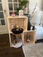 Fruitkist nieuw, Handgemaakt, 50x40x30cm, Overige materialen, Minder dan 50 cm, 50 tot 100 cm, Nieuw