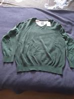Trui baileys nieuw, Kleding | Heren, Truien en Vesten, Ophalen of Verzenden, Nieuw, Overige maten, Groen
