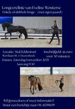 Longeerclinic van Eveline Wouterse, Gedragstraining