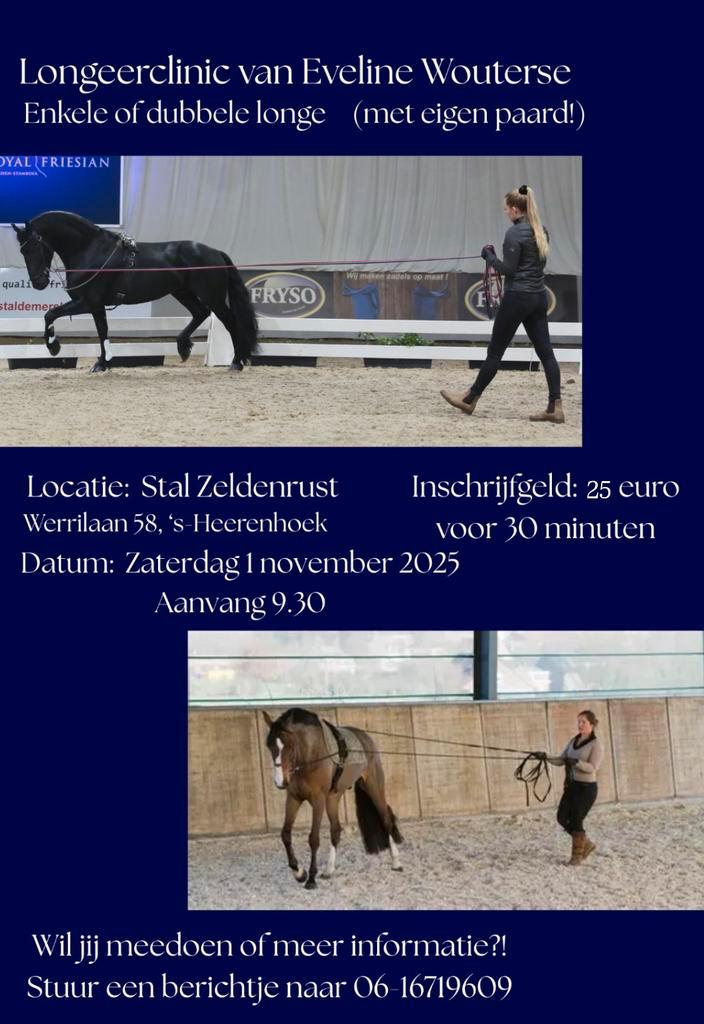 Longeerclinic van Eveline Wouterse, Diensten en Vakmensen, Dieren | Paarden | Verzorging, Oppas en Les, Gedragstraining