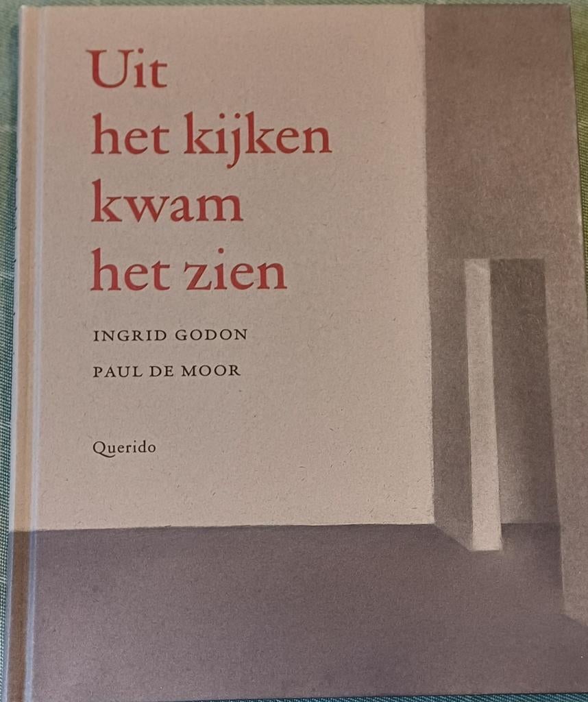 Uit het kijken kwam het zien - Godon & de Moor, Boeken, Ophalen of Verzenden, Nieuw, Ingrid Godon, Paul de Moor, België