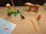 Playmobil Fee met Jager te Paard & Roofvogel, Ophalen of Verzenden, Gebruikt, Complete set