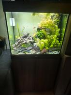 Te koop mooi Juwel rio 120 liter aquarium., Ophalen, Zo goed als nieuw, Leeg aquarium