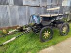 Mooie menwagen, Dieren en Toebehoren, Rijtuigen en Koetsen, Paard