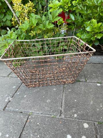 Stoere grote oude oestermand beschikbaar voor biedingen