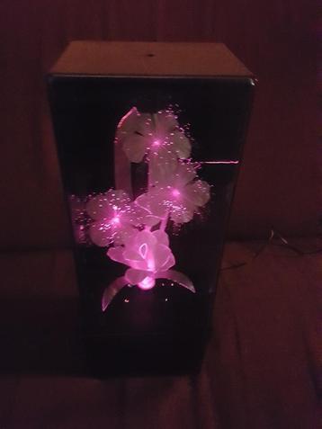 Verlichte orchidee orchideeën lamp licht in blauwe vitrine beschikbaar voor biedingen