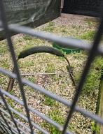 Indoor sprenkel, boog valkerij valkenier roofvogel uil, Dieren en Toebehoren