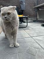 Beton tegels 50x50x5 met patroon!, Tuin en Terras, Tegels en Klinkers, Ophalen, Nieuw, 10 m² of meer, Beton