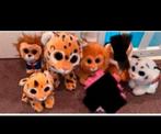 Ty beanie boo nieuw met kaartje, Ophalen of Verzenden, Nieuw