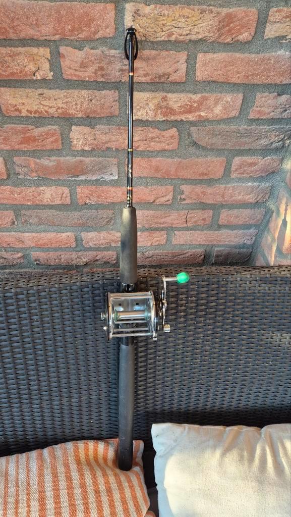 Star Rods met Penn Reel - Complete Set, Watersport en Boten, Hengelsport | Algemeen, Gebruikt, Complete hengel, Ophalen