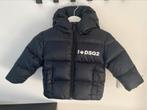 Dsquared2 winterjas, Gebruikt, Dsquared2, Ophalen of Verzenden, Jasje