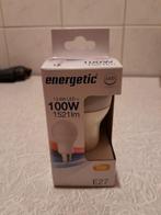 Energetic E27 Ledlampen 100W 1521Lm 2700K, Led-lamp, 60 watt of meer, Nieuw, E27 (groot)