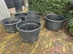 Grote plantkuipen / boomkuipen (160- 300 liter), Tuin en Terras, Bloembakken en Plantenbakken, Ophalen, Kunststof, Gebruikt, Balkon