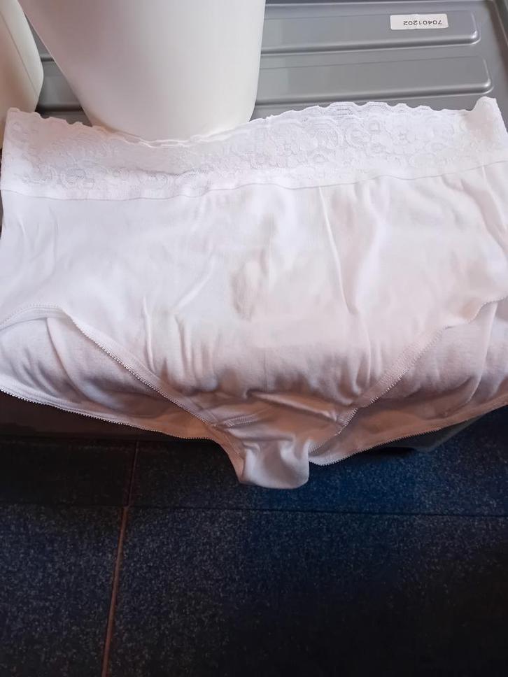 Slips Calida mt 48/50 100% Katoen, Kleding | Dames, Ondergoed en Lingerie, Slip, Wit, Ophalen of Verzenden