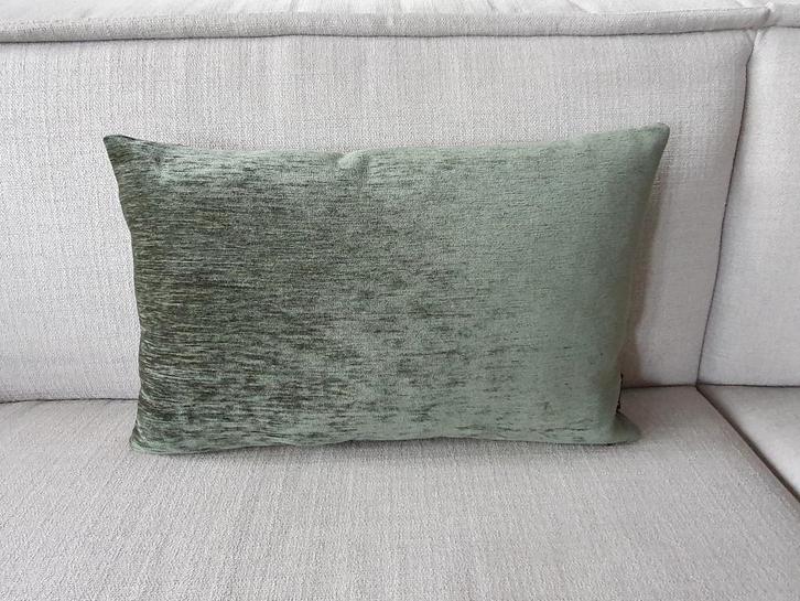 Prachtig groen velours kussen merk Sjiek van Het Heerenhuys, Huis en Inrichting, Woonaccessoires | Kussens, Nieuw, Groen, Rechthoekig