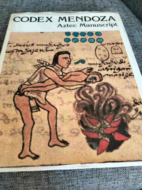 Boek "Codex Mendoza" (Engels), Boeken, Overige Boeken, Gelezen, Ophalen of Verzenden