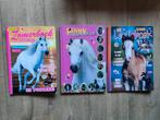Heel veel Penny's + Penny Lenteboek en Zomerboek, Meerdere comics, Ophalen of Verzenden, Zo goed als nieuw, Europa