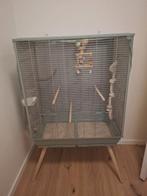 Kooi inclusief. Vogeltjes, Dieren en Toebehoren, Ophalen, Zo goed als nieuw, Metaal, Vogelkooi
