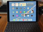 iPad Pro 10.5" (2017) Wifi 256GB Grijs (accu slecht), Computers en Software, Apple iPads, Gebruikt, 11 inch, Ophalen of Verzenden