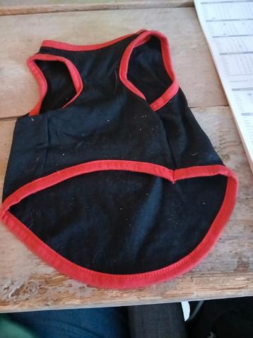 Te koop kleine truitjes 3 euro  beschikbaar voor biedingen