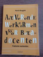 Martin Bruggink - Activerende werkvormen voor bètadocenten, Boeken, Ophalen of Verzenden, Zo goed als nieuw, Natuurwetenschap