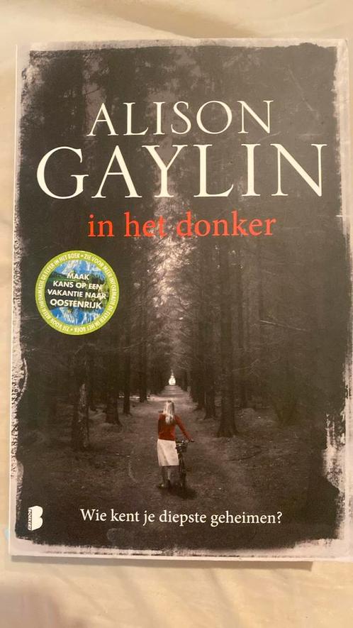 In het donker - Alison Gaylin, Boeken, Thrillers, Gelezen, Nederland, Verzenden