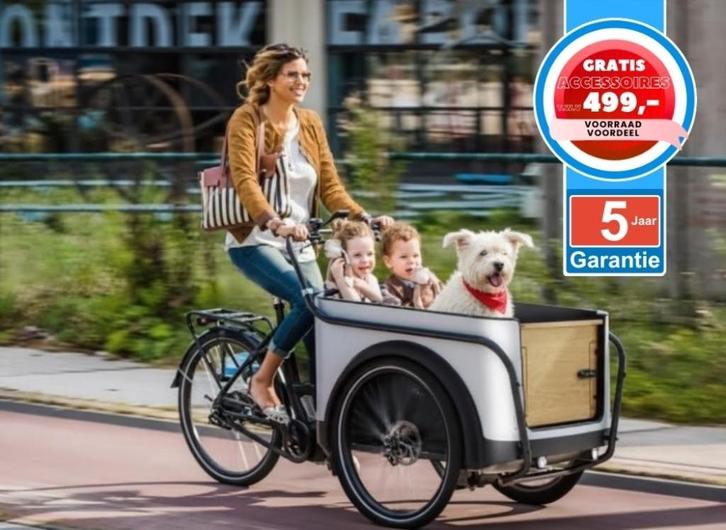 Nederlandse Royal Cargo Bike elektrische bakfiets bakfietsen, Fietsen en Brommers, Fietsen | Bakfietsen, Nieuw, Overige merken
