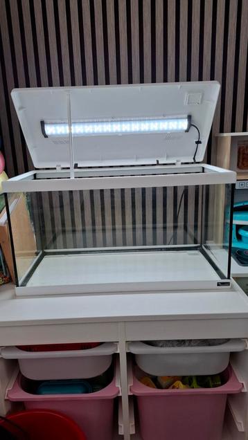 Aquarium  beschikbaar voor biedingen