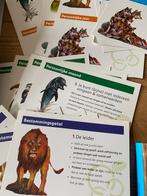 Kosmos Numerologie Kaarten - Nieuwstaat, Ophalen, Nieuw, Overige onderwerpen, Achtergrond en Informatie