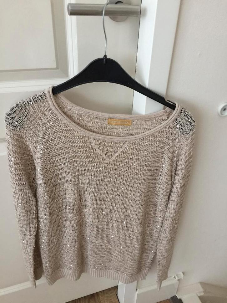Trui glitter, Kleding | Dames, Truien en Vesten, Gedragen, Maat 36 (S), Ophalen