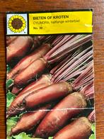 Groente plantjes voor de moestuin, Tuin en Terras, Planten | Tuinplanten, Ophalen, Volle zon, Groenteplanten, Eenjarig