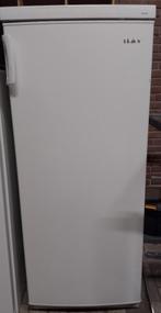 Grote Koelkast Haier, Witgoed en Apparatuur, Koelkasten en IJskasten, Ophalen, Zonder vriesvak, 200 liter of meer, 60 cm of meer