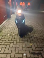Piaggio zip 80cc 4t 2v, Ophalen, Zo goed als nieuw, Benzine, Zip