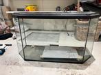 Terrarium te koop moet weg!!, Ophalen, Gebruikt, Terrarium of Paludarium